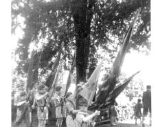 Scouts Flags