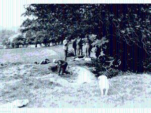 Country Pursuits
