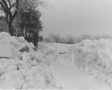 B203 The Cottage Great Pinley 1963. Demolished for M40