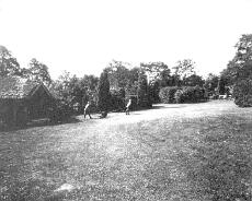 Mowing
