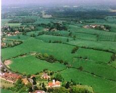 LS