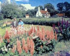 1004A-7 Jo Rowney and family in gardwen at No.2 Brook Cottage. 'The Nest' is in the background
