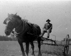 S1813 Mr Johnson horse raking