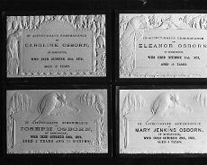 S0411 Four of the Osborn children died of scarlet fever within a week at Turner's End farm in 1874