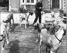 Rev Davies Rev Davies and great danes at vicarage