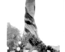 War26 1926